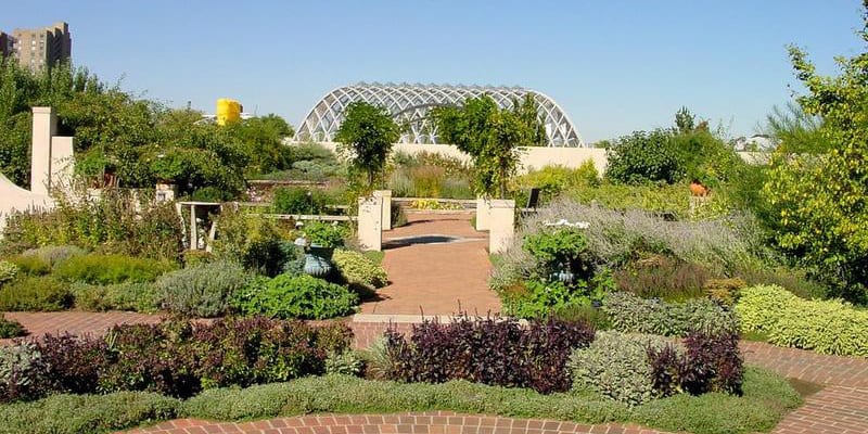 Denver Botanic Gardens Colorado Wildlife Plant Attraction In