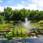 Denver Botanic Gardens Pond