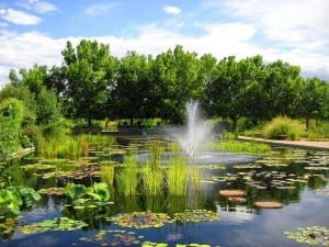 Denver Botanic Gardens Pond