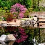 Denver Botanic Gardens Pond