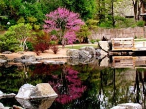 Denver Botanic Gardens Pond