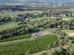 Vineyard Tour Western Colorado