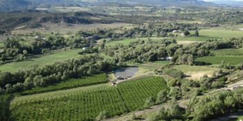 Vineyard Tour Western Colorado