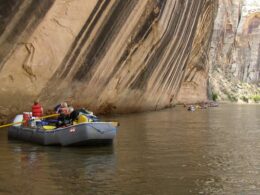 Yampa River Whitewater Rafting