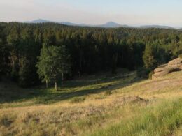 Mueller State Park