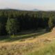Mueller State Park