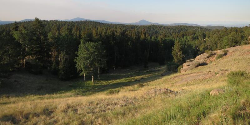 Mueller State Park