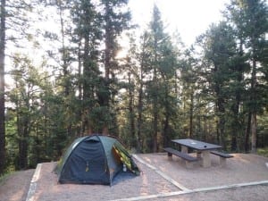 Mueller State Park Campground