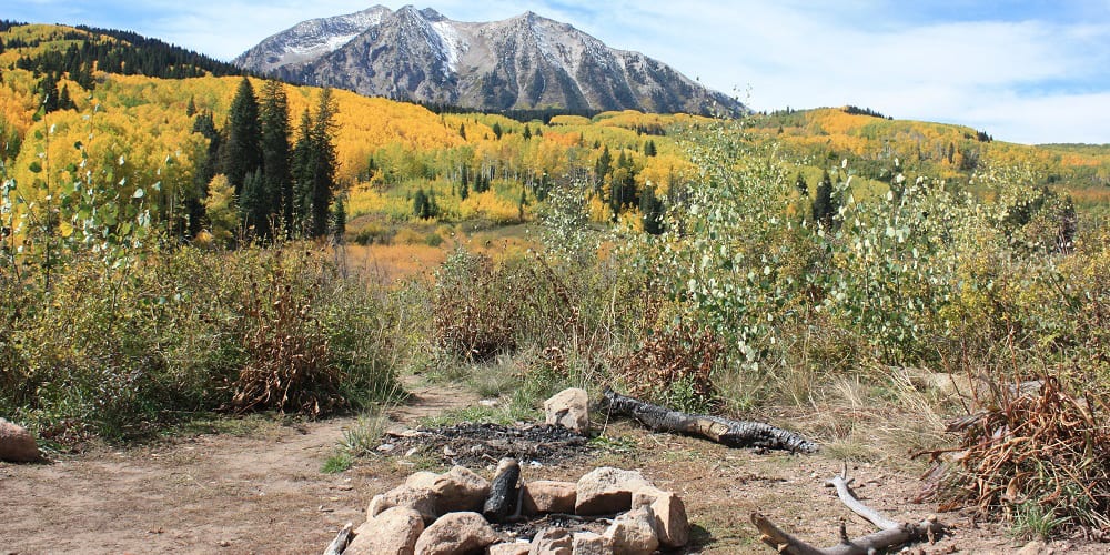 Kebler Pass Fall Colors