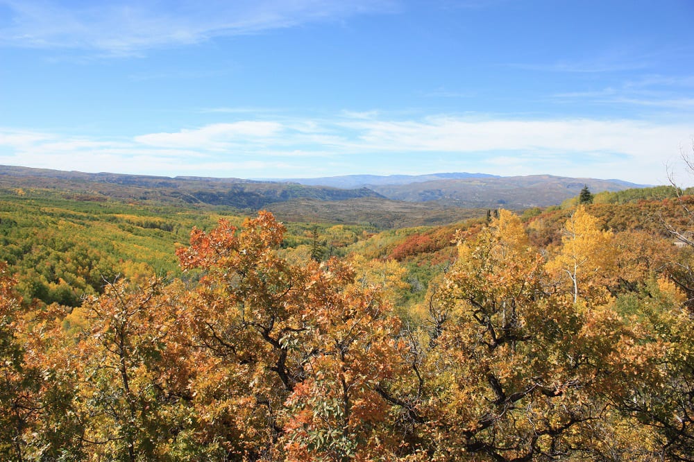 11 Colorful Autumn Drives in Colorado