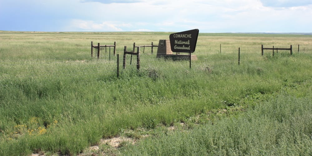 Comanche National Grassland