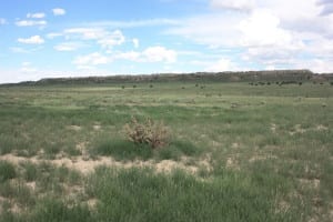 Comanche National Grassland Mesa