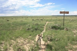 Comanche National Grassland Sante Fe Trail