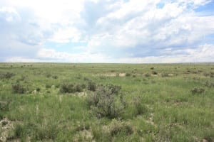 Comanche National Grassland