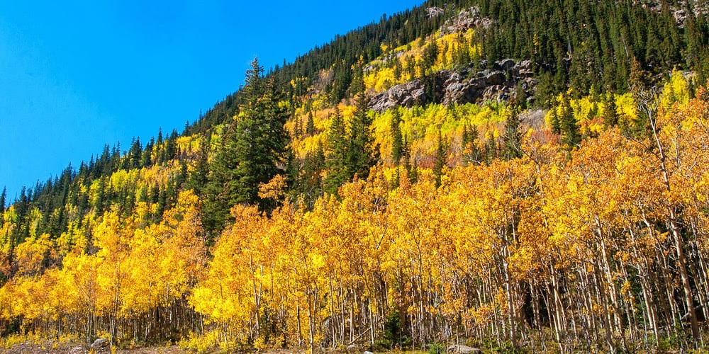 Guanella Pass Fall Colors