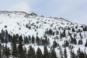 Arapahoe Basin Montezuma Bowl Trees