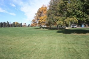 Cheesman Park Grass