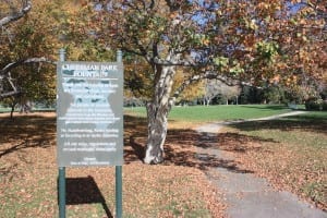 Cheesman Park Path