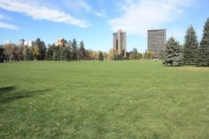 Cheesman Park Skyline