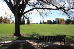 Cheesman Park Shaded Bench