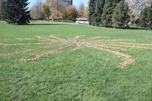 Cheesman Park Leaf Art