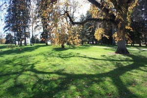 Cheesman Park Fall Colors