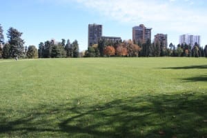 Cheesman Park Apartment Buildings