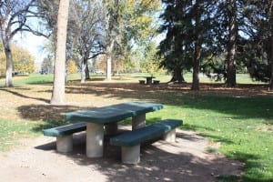 Cheesman Park Picnic Table