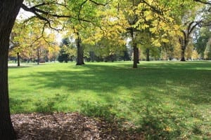 City Park Denver Fall Colors