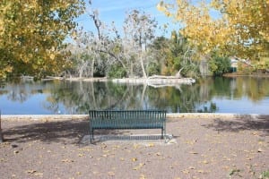 City Park Denver Bench