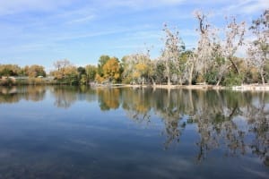 City Park Duck Lake