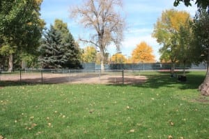 City Park Denver Horseshoe