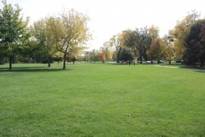 City Park Denver