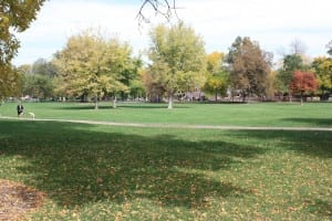 City Park Denver