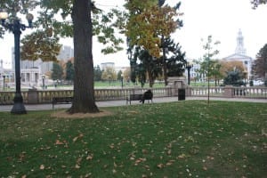 Civic Center Park Benches