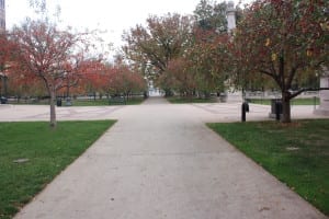 Civic Center Park Paths