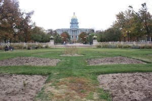 Civic Center Park Fall Flower Gardens