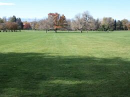 Cheesman Park Denver