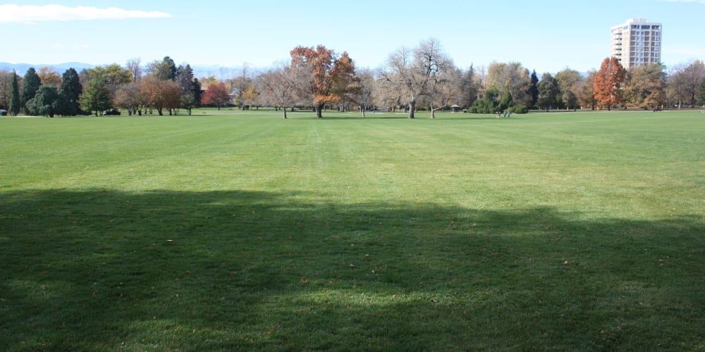 Cheesman Park Denver