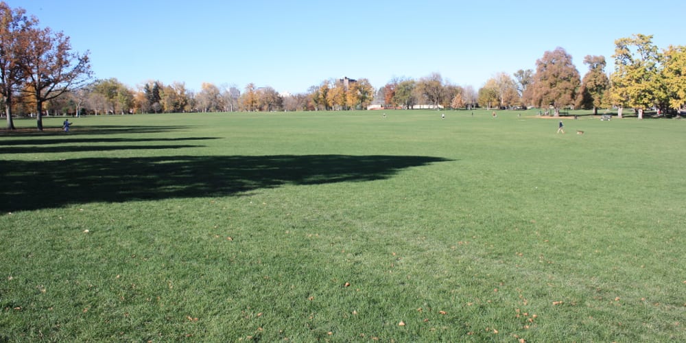 Washington Park Denver