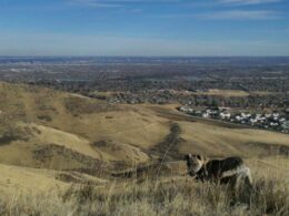 Green Mountain Park Lakewood