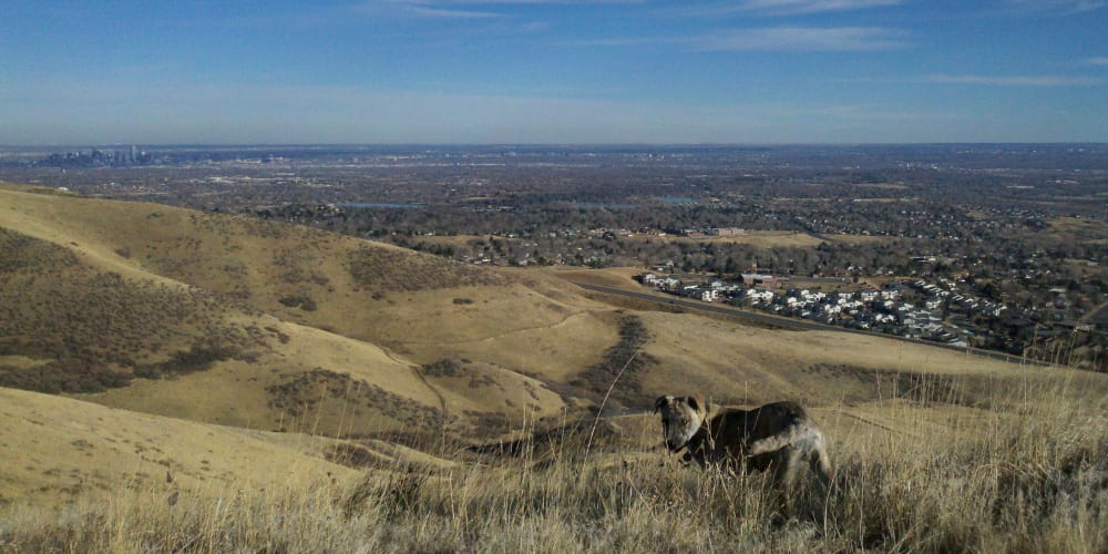 Green Mountain Park Lakewood