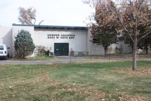 Berkeley Park Denver Aquatics