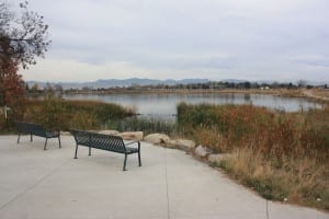 Berkeley Lake Benches