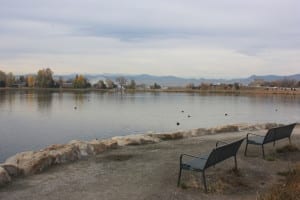 Berkeley Park Lake Bench