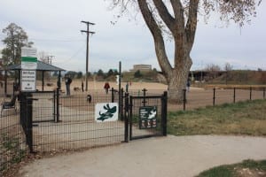 Berkeley Dog Park High Energy