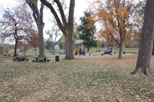 Berkeley Park Playground