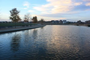 Central Park Stapleton Pond