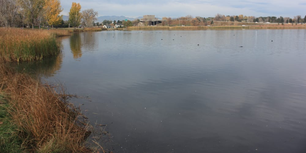 Berkeley Park Denver