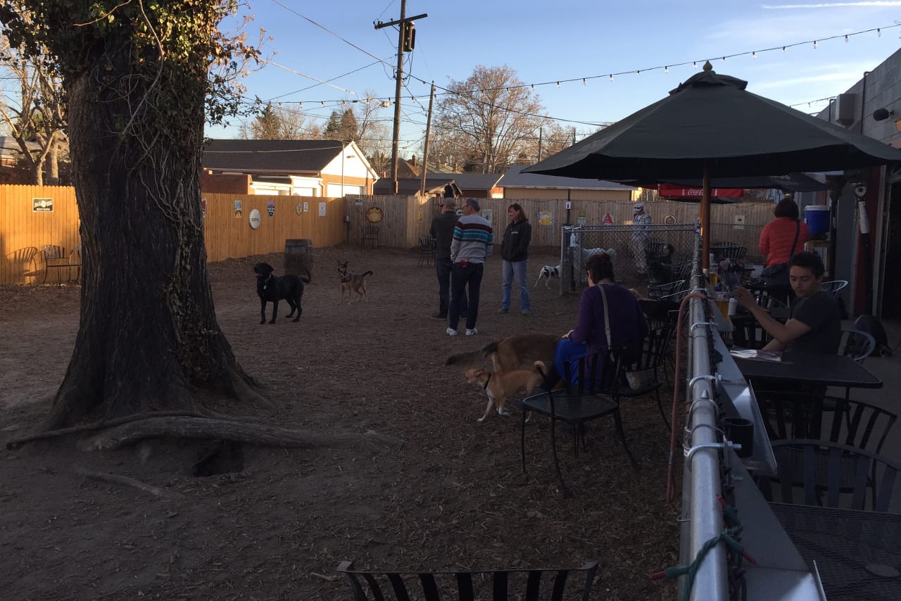 Last Call at the Bark Bar Colorado Travel Blog